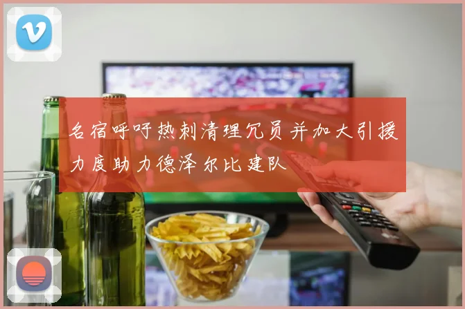 名宿呼吁热刺清理冗员并加大引援力度助力德泽尔比建队